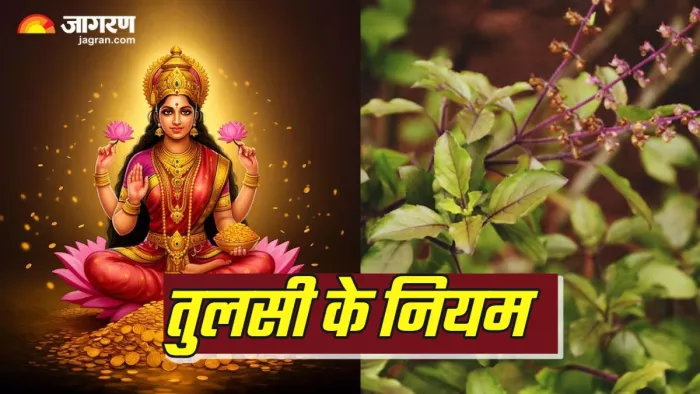 Tulsi Puja कब और कैसे करें तुलसी की पूजा?