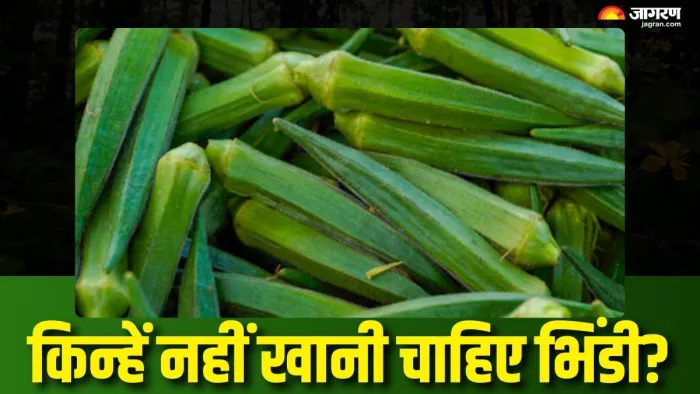 किन लोगों के लिए नुकसानदेह है भिंडी? (Picture Courtesy: Freepik)