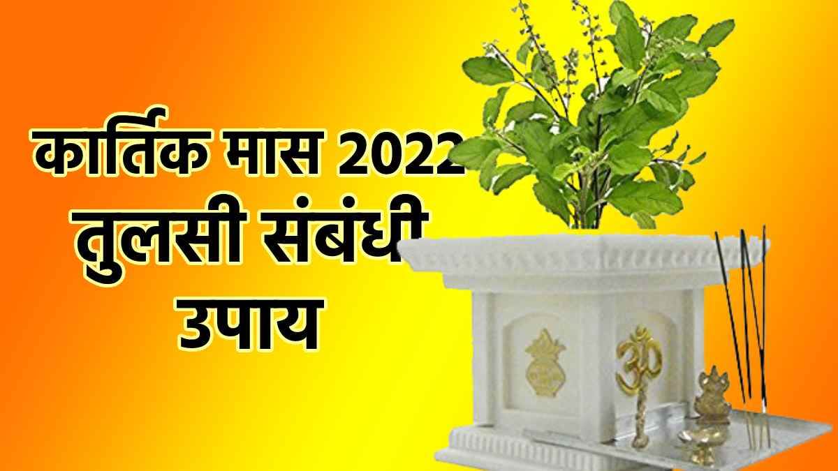 https://www.jagranimages.com/images/newimg/09102022/09_10_2022-kartik-tulsi_23121724.jpg