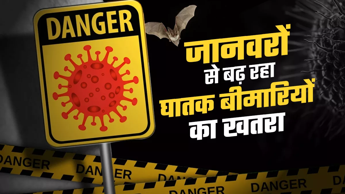 75 फीसद उभरते संक्रामक रोग जूनोटिक डिजीज :यूएनईपी
