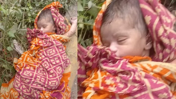 रात के अंधेरे में मानवता हुई शर्मसार, चुपके से नवजात को सड़क किनारे फेंका; नहीं बच सकी उसकी जान