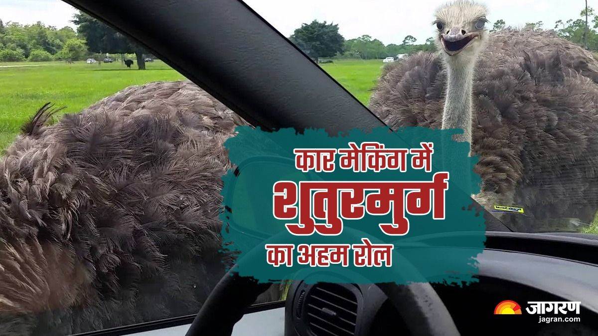 https://www.jagranimages.com/images/newimg/09102023/09_10_2023-car_making_process_1_23551597.jpg
