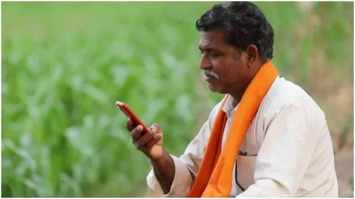 अब मोबाइल APP की निगरानी में होगी मशरूम की खेती, AI से कनेक्ट होगा पूरा सिस्टम