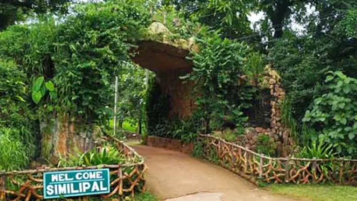सिमलीपाल राष्ट्रीय अभयारण्य सुबह 6 से 9 बजे के बीच आ सकते है