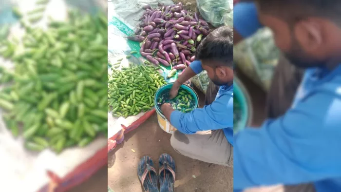 सब्जियों में मिलावट खोरी का सेहत पर व्यापक असर।