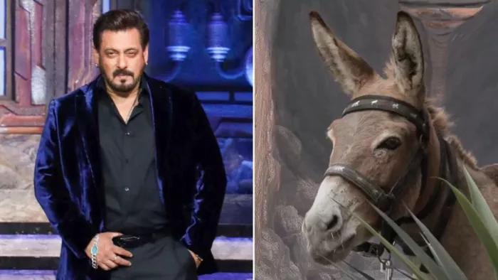 बिग बॉस 18 को लेकर छिड़ा विवाद