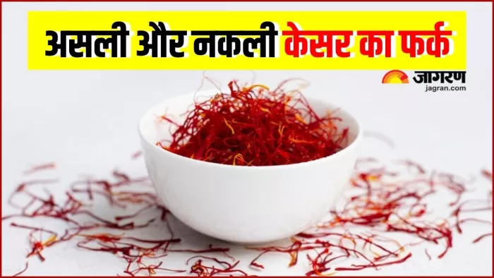 Saffron Buying Guide: असली या नकली केसर को पहचानना लगता है मुश्किल काम, तो ऐसे करें पहचान