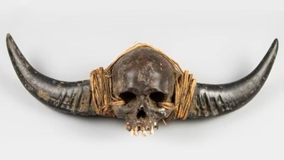 https://www.jagranimages.com/images/newimg/09102024/09_10_2024-skull_23813093_195941327.jpg