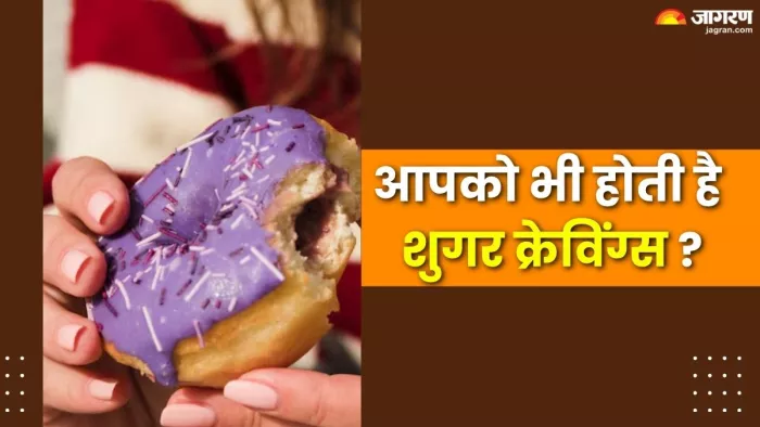 मीठे की क्रेविंग से पाएं छुटकारा, अपनाएं ये हेल्दी टिप्स (Picture Credit- Freepik)