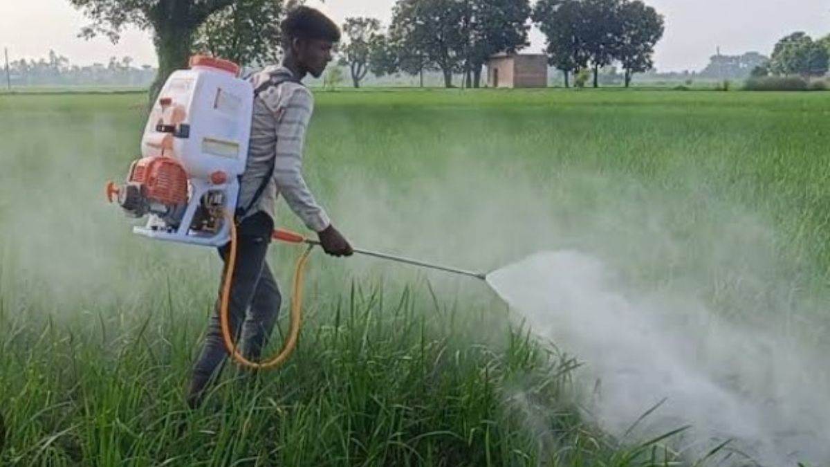 msp boost small farmers benefit from increased crop prices