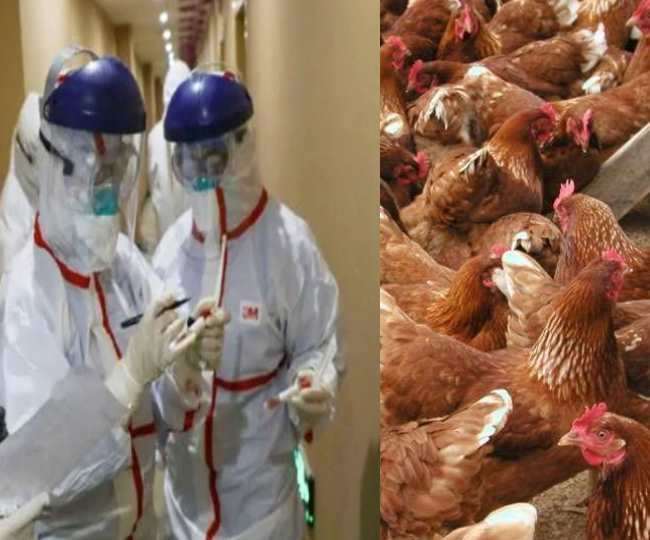 कोरोना के बाद एक और वायरस ने दी यूरोप में दस्तक।(फोटो: प्रतीकात्मक)