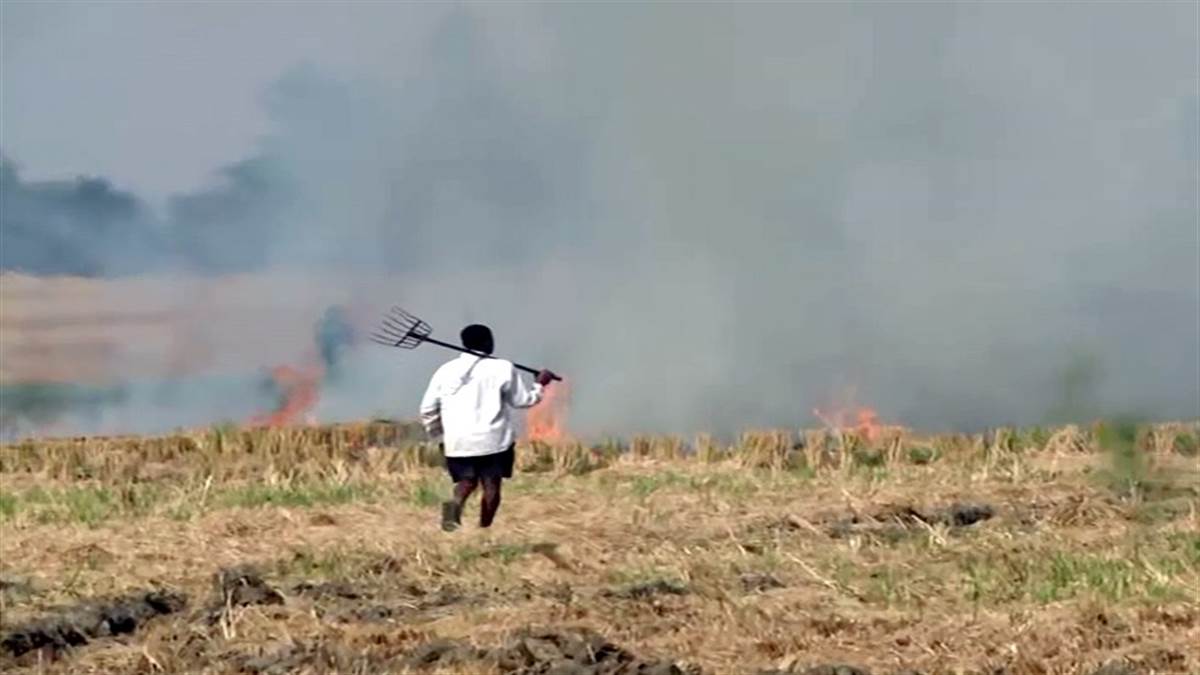 प्रदूषण बढ़ने की सबसे बड़ी वजहों में से एक बड़ा कारण पराली का जलाना माना जाता है।