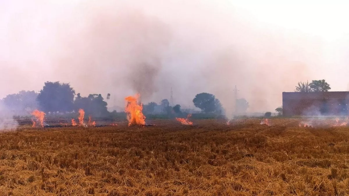 Air Pollution In Punjab: पराली के धुएं से पंजाब में लुधियाना सबसे प्रदूषित, 300 के पार पहुंचा AQI