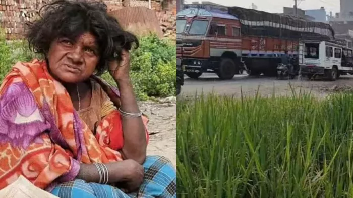 मानसिक रूप से विक्षिप्त महिला ने राष्ट्रीय राजमार्ग पर उगा दिया धान (जागरण फोटो)