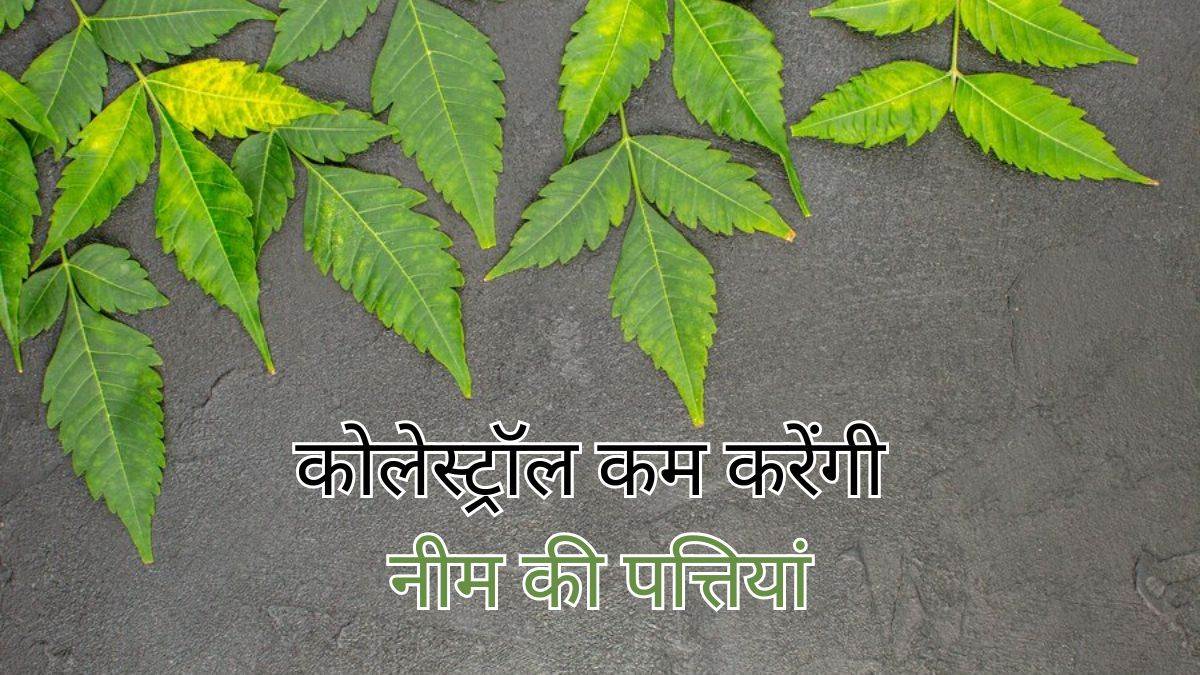 Neem Leaves बिना गोलियों के इन पत्तियों से तुरंत कम होगा बैड