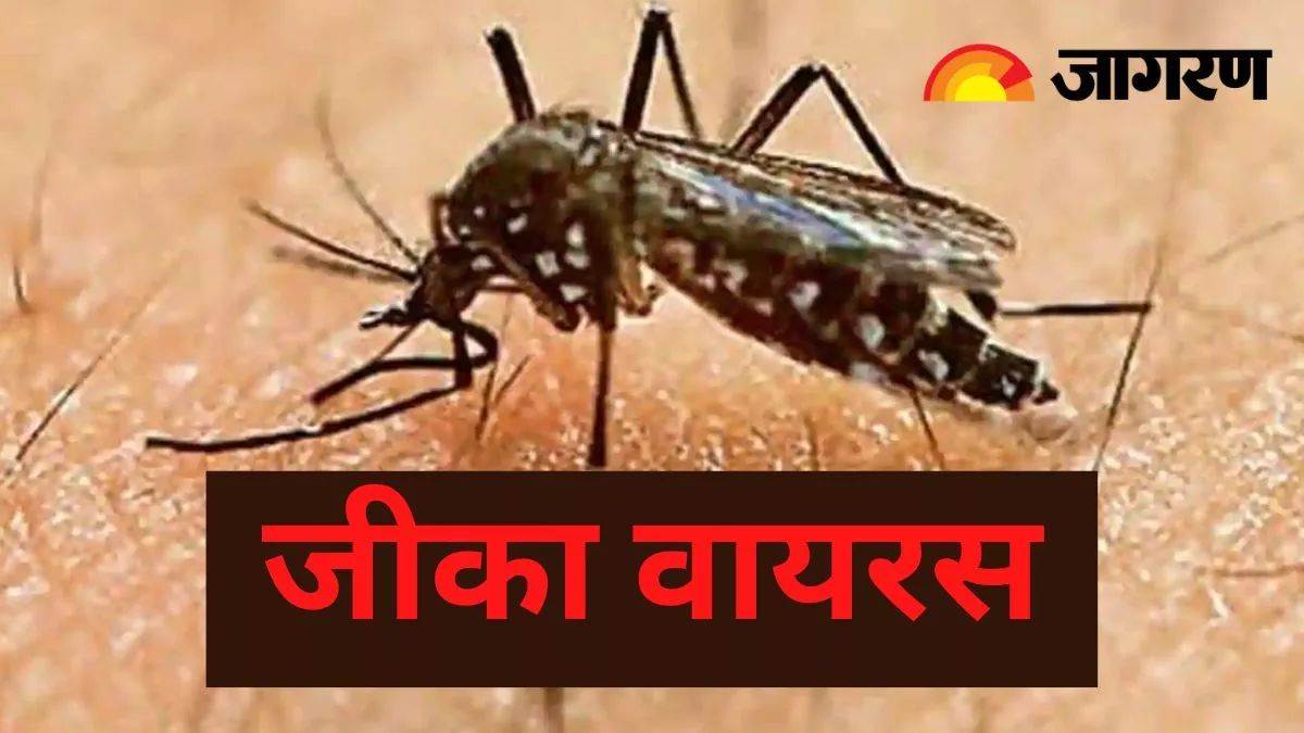 https://www.jagranimages.com/images/newimg/09112023/09_11_2023-zika_virus__23576685.jpg