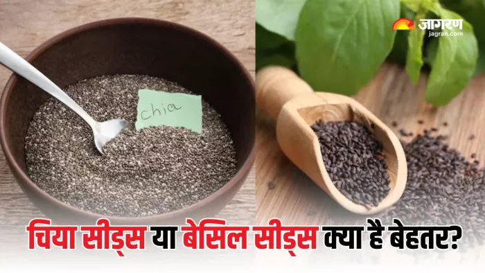 वेट लॉस करने के लिए चिया सीड्स या सब्जा के बीज क्या है फायदेमंद? (Picture Courtesy: Freepik)