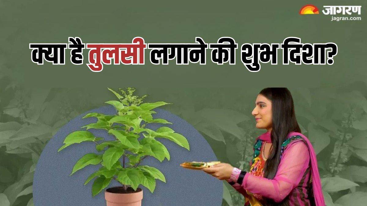 https://www.jagranimages.com/images/newimg/09112024/09_11_2024-tulsi_vivah_2024__23828335.jpg