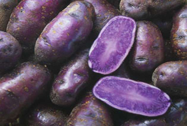 eat-the-purple-potato-the-you-may-live-long-Anokhe Jamuni Aloo