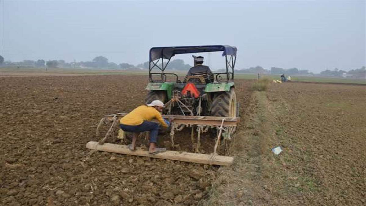 rabi sowing reached its peak in the country wheat area increased by 25 percent emphasis on increasing the supply of urea