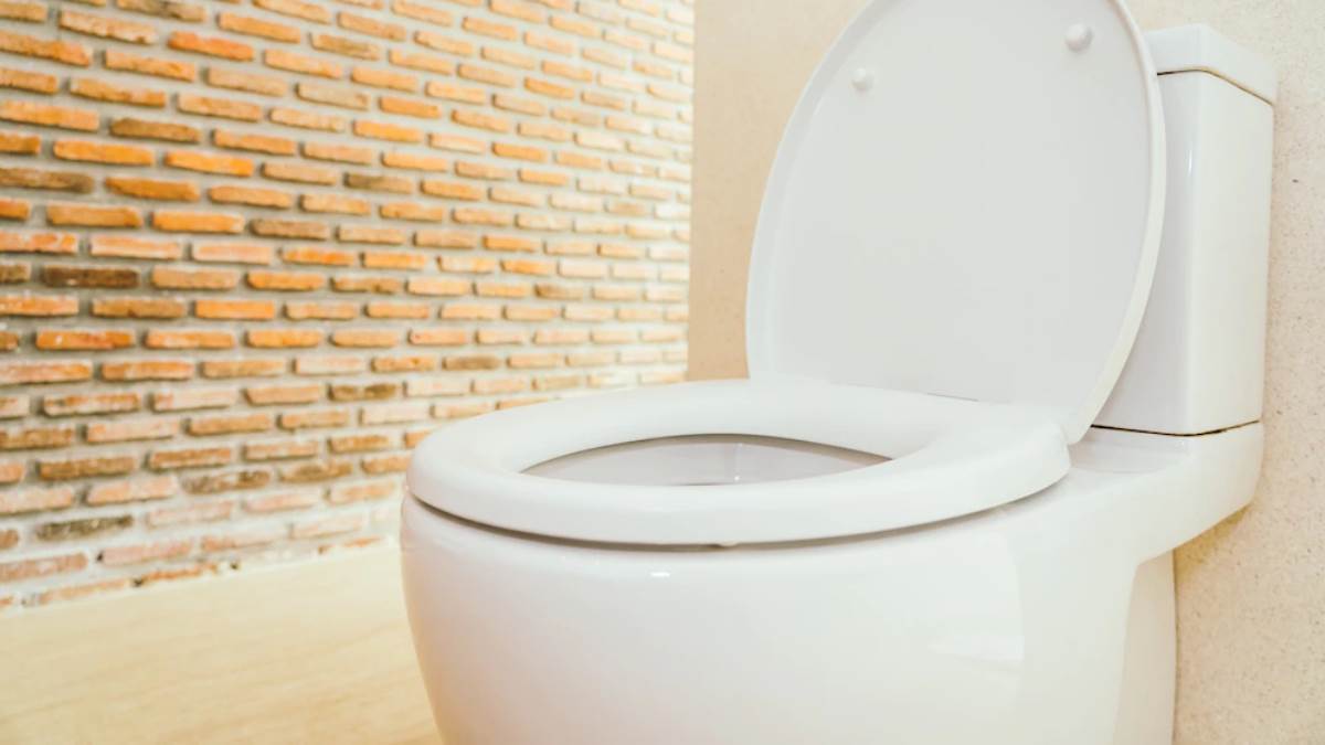 Western Toilet Disadvantages सेहत के लिए काफी नुकसानदायक है वेस्टर्न टॉयलेट, हो सकती हैं ये