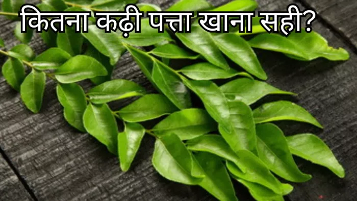 क्य रोज कढ़ी पत्ता खाना सेहतमंद है?
