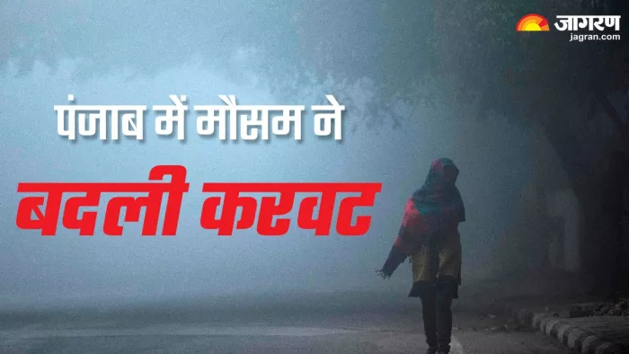 कोहरे ने धीमी की वाहनों की रफ्तार