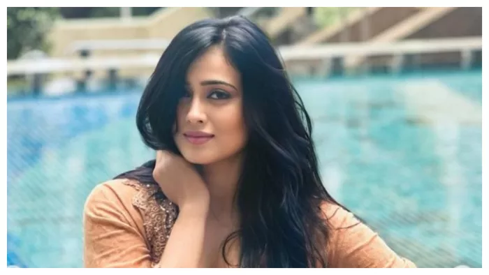 Shweta Tiwari Photo. Image Credit: Shweta Tiwari Instagram