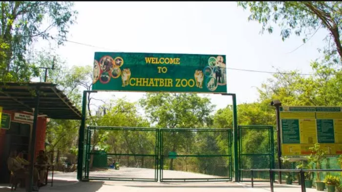 मोहाली के छतबीड़ जू के अधिकारी अन्य जू कीपर को देंगे ट्रेनिंग