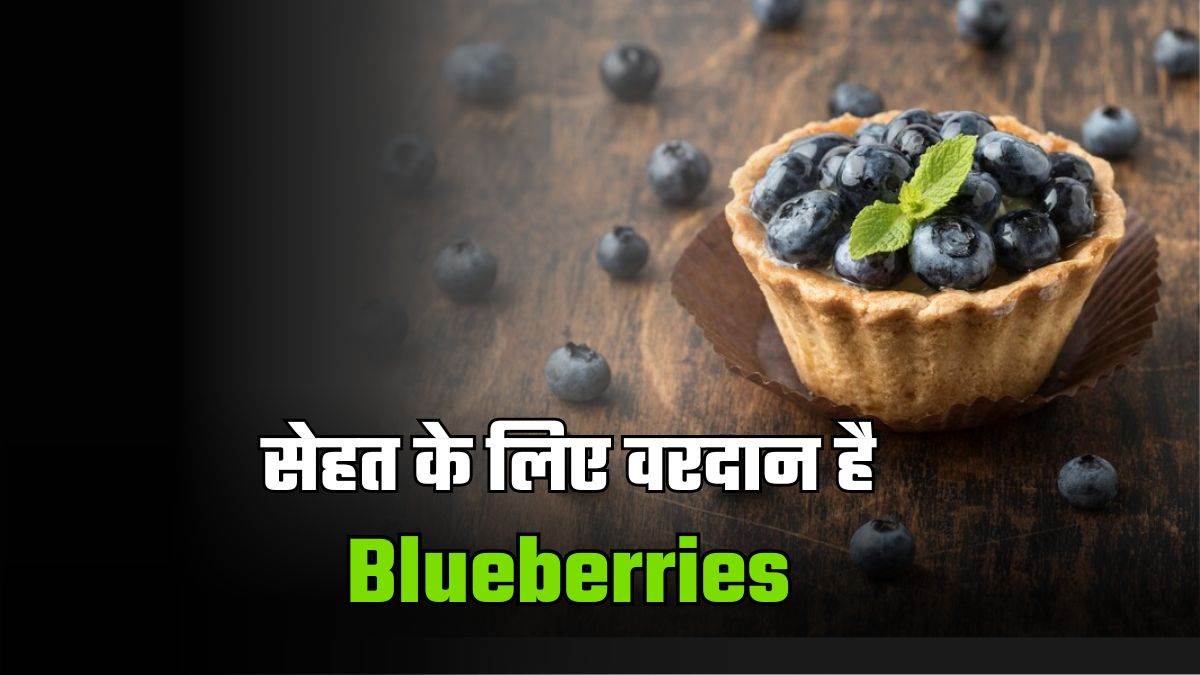 https://www.jagranimages.com/images/newimg/09122024/09_12_2024-blueberries_23844973.jpg