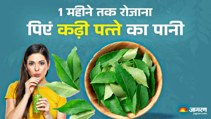 Curry Leaves Water Benefits: 30 दिनों तक कढ़ी पत्ते का पानी पीने से कई बीमारियों से मिलेगा छुटकारा (Image: Jagran)