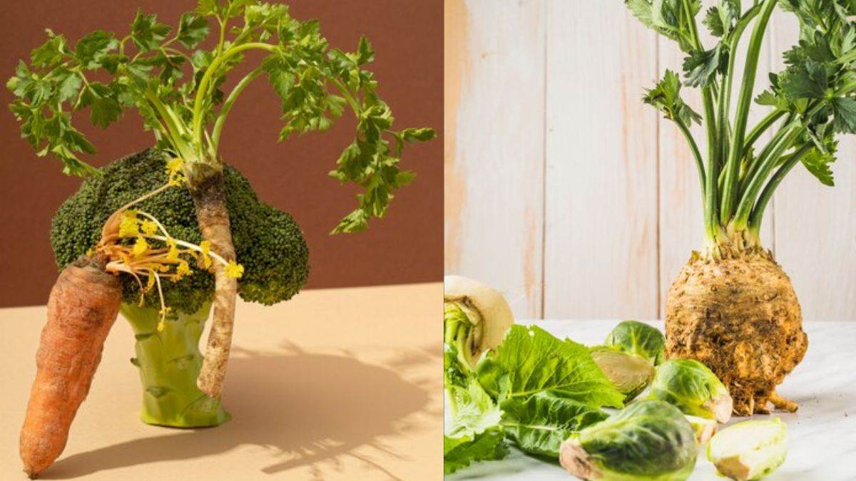 https://www.jagranimages.com/images/newimg/09122024/09_12_2024-rooted_vegetables_23844773.jpg