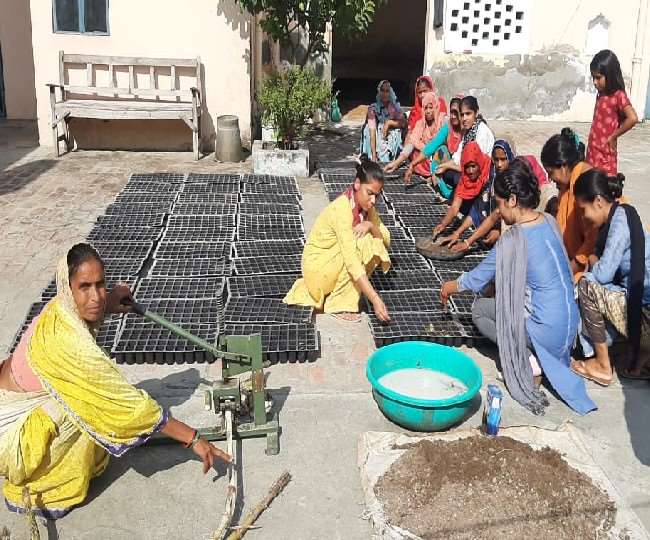 जिले में 270 महिलाओं को मिला रोजगार, साल में दो बार पौध तैयार करके कमा रही लाखों