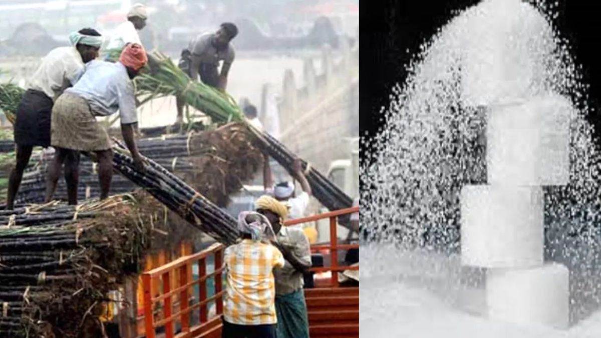https://www.jagranimages.com/images/newimg/10012023/10_01_2023-indian_sugar_export__23290660.jpg