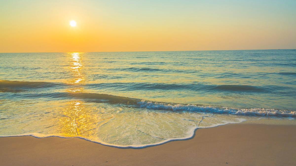https://www.jagranimages.com/images/newimg/10012024/10_01_2024-tarkarli_beach_maharastra_f_23625482.jpg