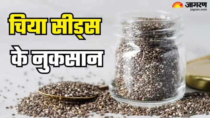 ज्यादा चिया सीड्स खाने के नुकसान (Picture Credit- Freepik)