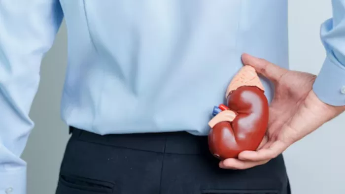 किडनी डैमेज (Kidney Damage) का कारण सिगरेट भी है। ( Pic Courtesy : Freepik)