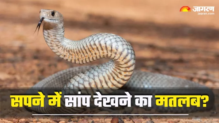 Swapna Shastra: सांप से संबंधित शुभ व अशुभ सपने।