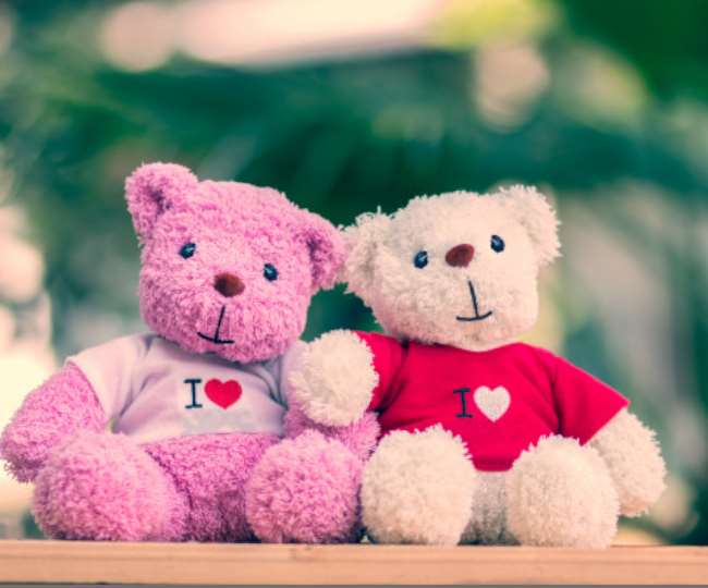 Happy Teddy Day 2020 Shayari importance of teddy bear color Wishes Photos  and top teddy Gift ideas for your love