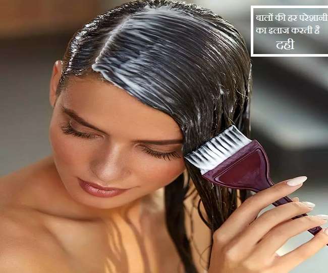Curd For Hair: बालों की हर समस्या का इलाज करती है दही, जानिए फायदे - Curd  For Hair How To Use Dahi To Have Healthy Hair