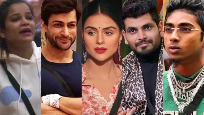 Bigg Boss 16 Voting Trend Priyanka Chahar Choudhary Gets the Highest Votes/Instagram