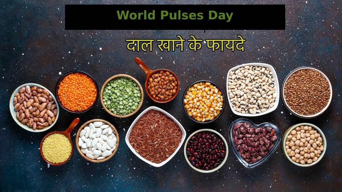World Pulses Day 2023 एक्सपर्ट ने बताए रोजाना दाल खाने से सेहत को होने