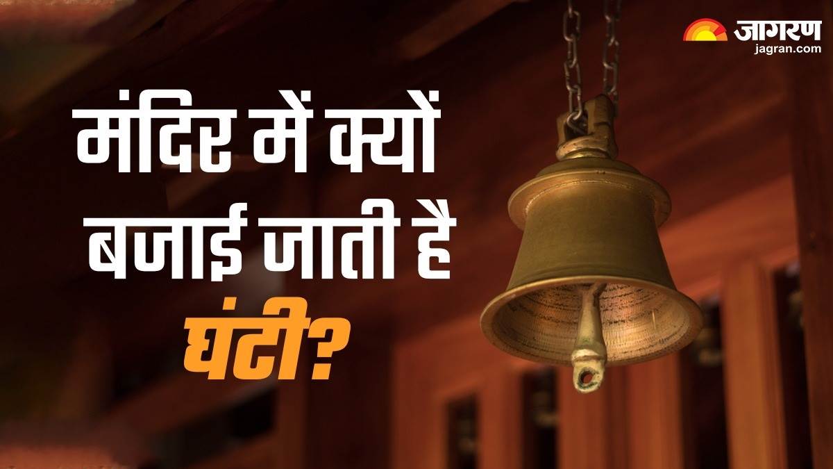 News Article Hero Image