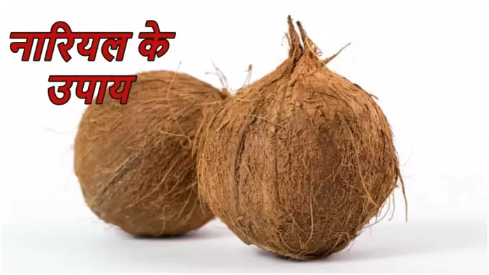 Shrifal Upay: 'श्रीफल' के ज्योतिष उपाय -