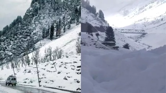 पर्यटकों से गुलजार हुई चलाधार की पहाड़ियां, बर्फबारी की लुत्फ उठा रहे सैकड़ों पर्यटक