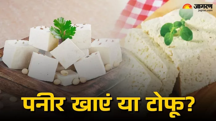 Paneer vs Tofu: पनीर या टोफू में से क्या है ज्यादा फायदेमंद? (Image Source: Jagran)