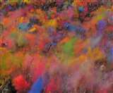 Holi 2020 Wishes: राष्ट्रपति कोविंद और पीएम मोदी समेत अन्य लोगों ने दी होली की शुभकामनाएं