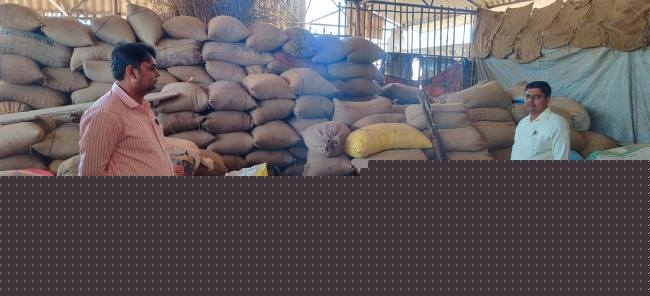 बाजार समिति प्रांगण में प्रशासन ने भारी मात्रा में जब्त किया अवैध खाद्यान्न
