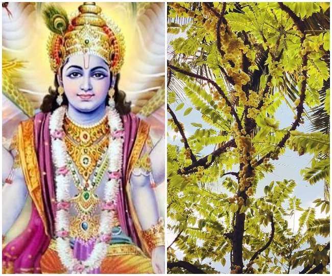 ekadashi in march 2022