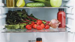 Amazon Sale On LG Double Door Fridge Cover Image Source: Pexels